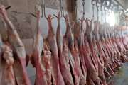 تشریح عملیات بازرسی و نظارت بهداشتی بر کشتارگاه دام در تربت حیدریه 
